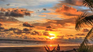 On the beach, sun-loungers, beach umbrellas, beach towels