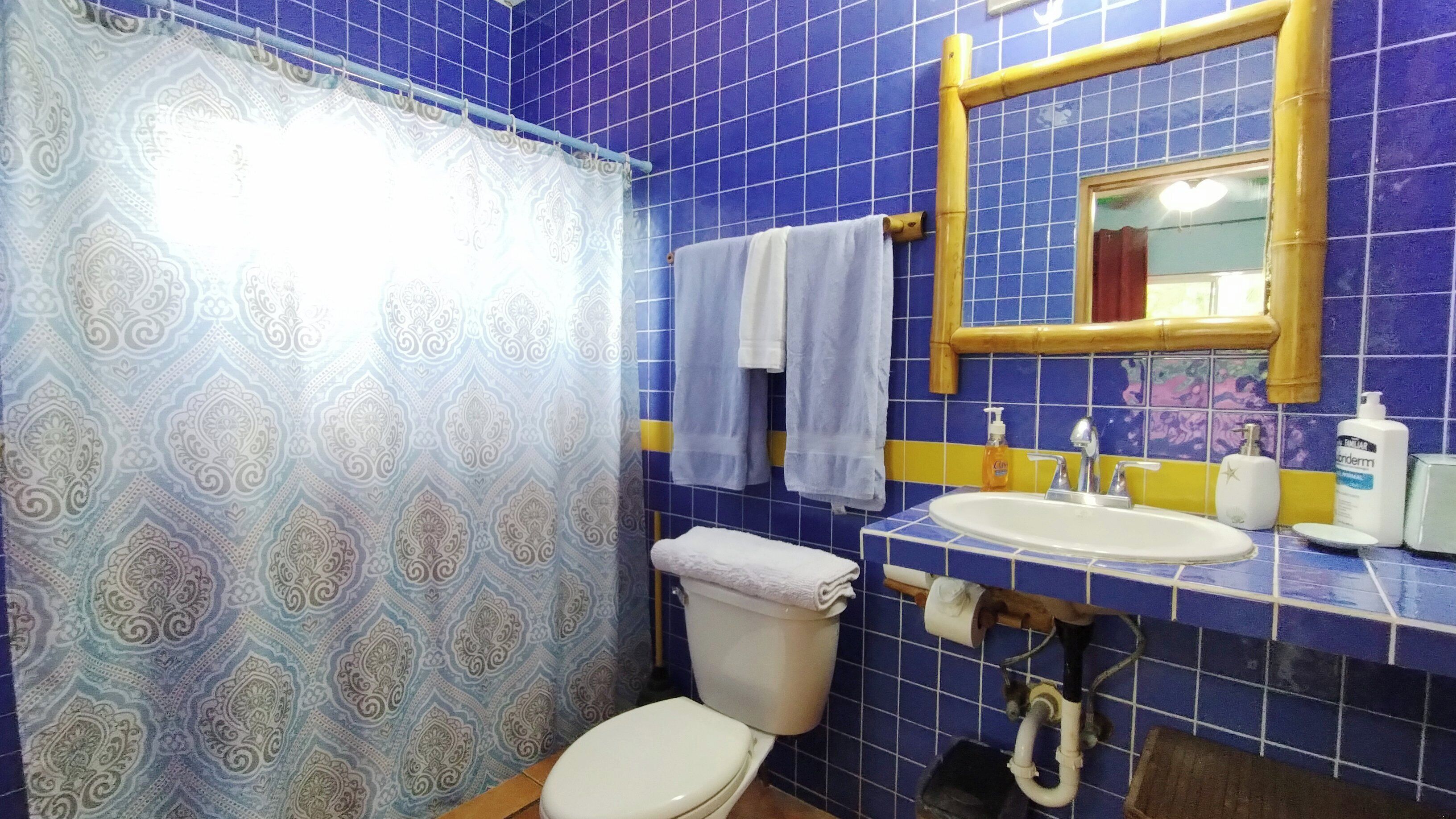 suite, ocean view | bathroom | shower, free toiletries, hair dryer, towels