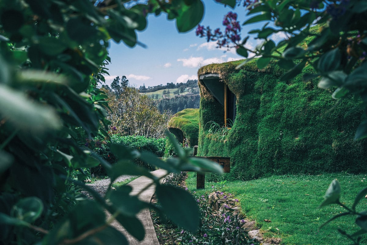 A traditional thatched-roof house surrounded by lush greenery and a clear sky.