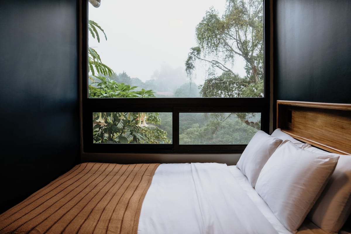 A bed with white linens and a wooden headboard, a window with a view of a forest, and a brown striped rug.
