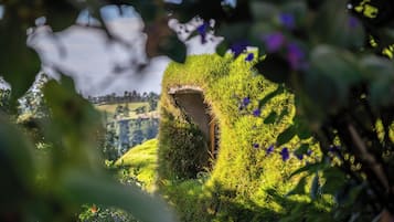 Hobbit Home | View from room