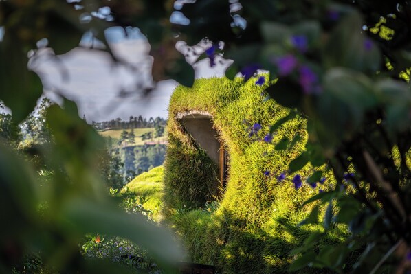 Un jardin doté d’une structure originale recouverte d’herbe, entouré d’une végétation luxuriante et de fleurs violettes.