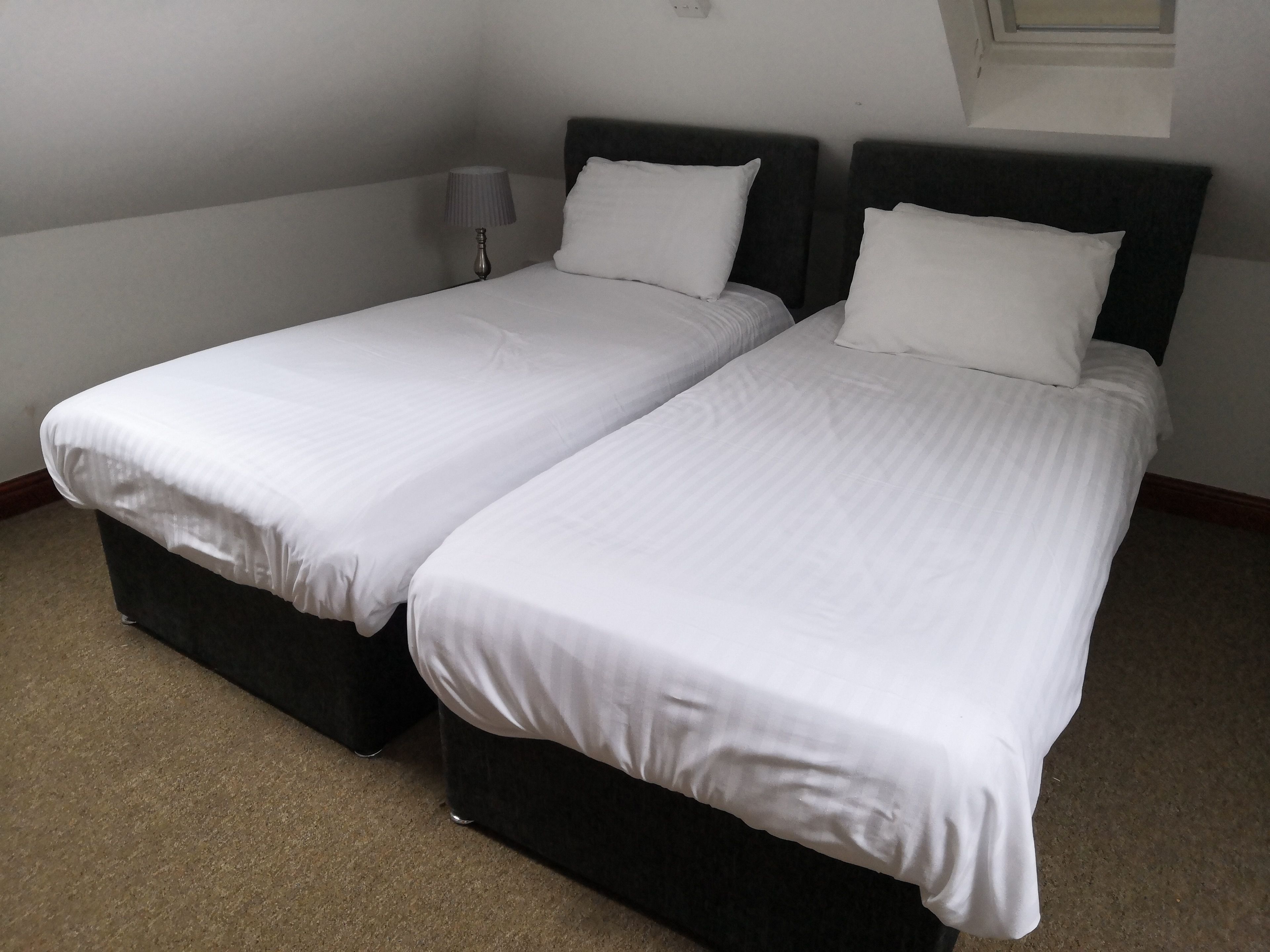 Dos camas individuales con sábanas blancas en una habitación con piso alfombrado y una mesita con lámpara.