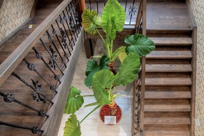 Una escalera con escalones de madera y barandillas de metal, una planta en maceta de hojas grandes y un letrero con texto.