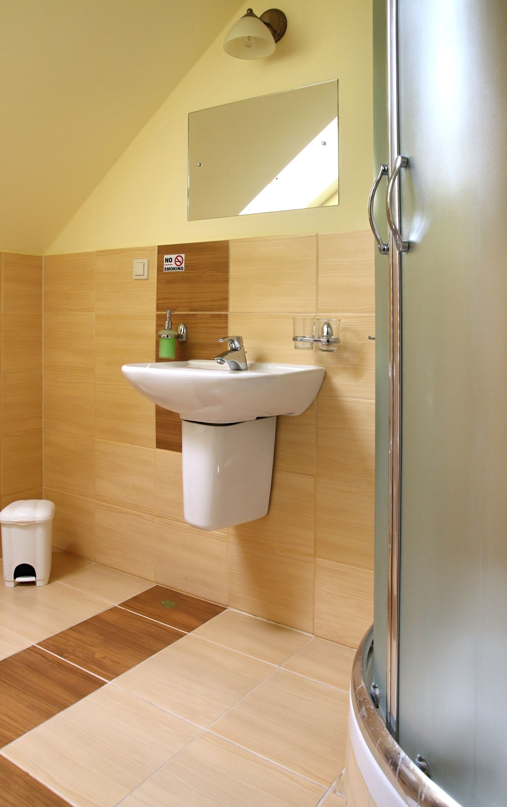 Baño con lavamanos, espejo y ducha.