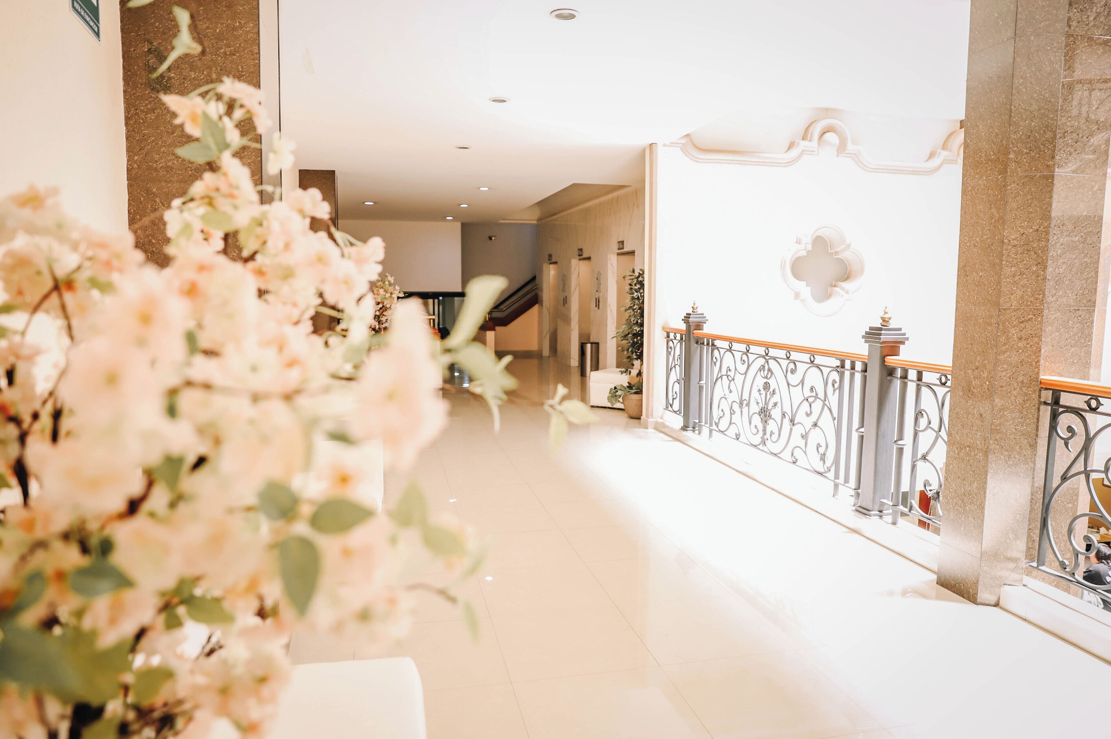 Photo - Hotel Real Plaza Aguascalientes