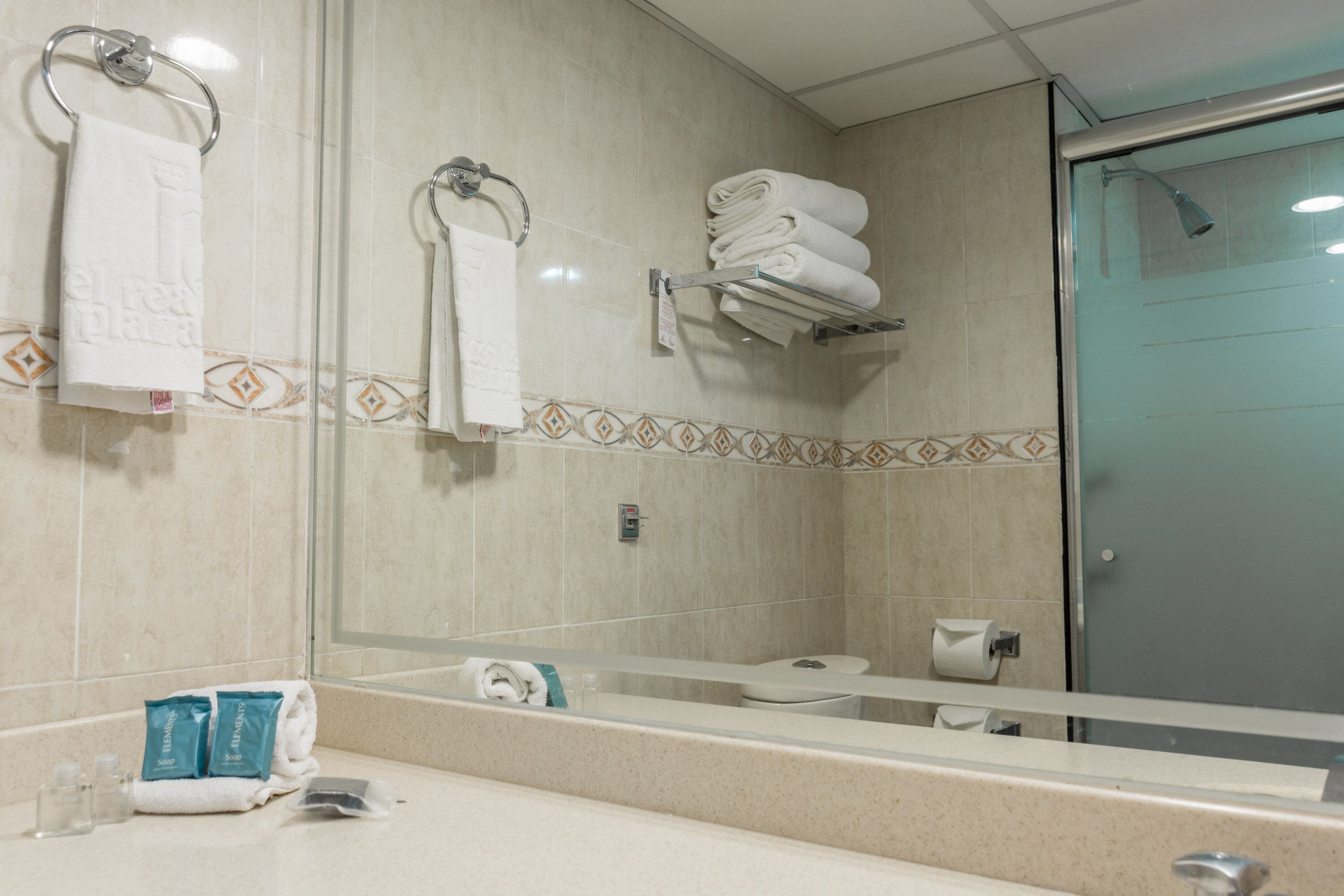 shower, free toiletries, hair dryer, towels