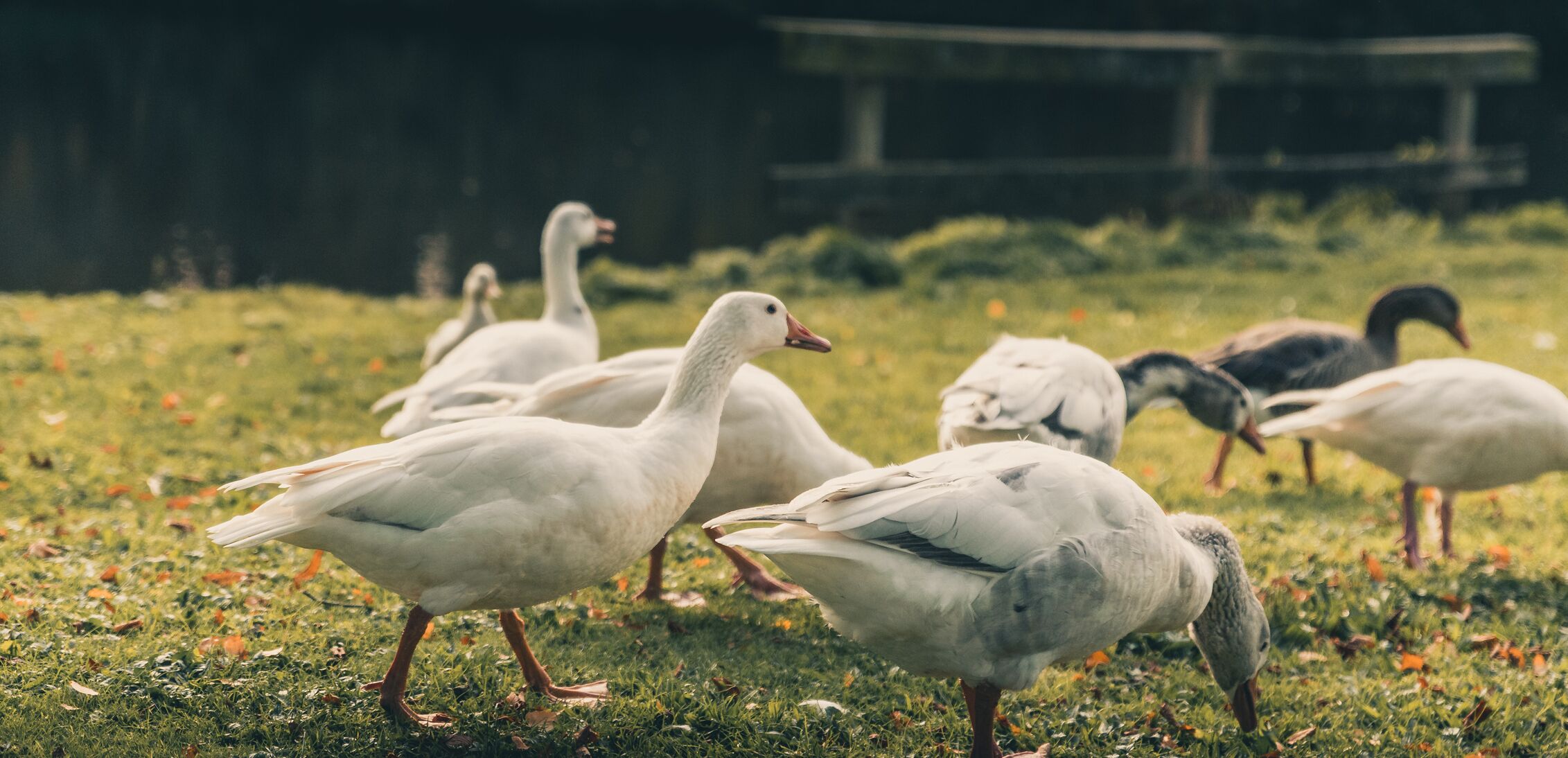 children’s play area – outdoor