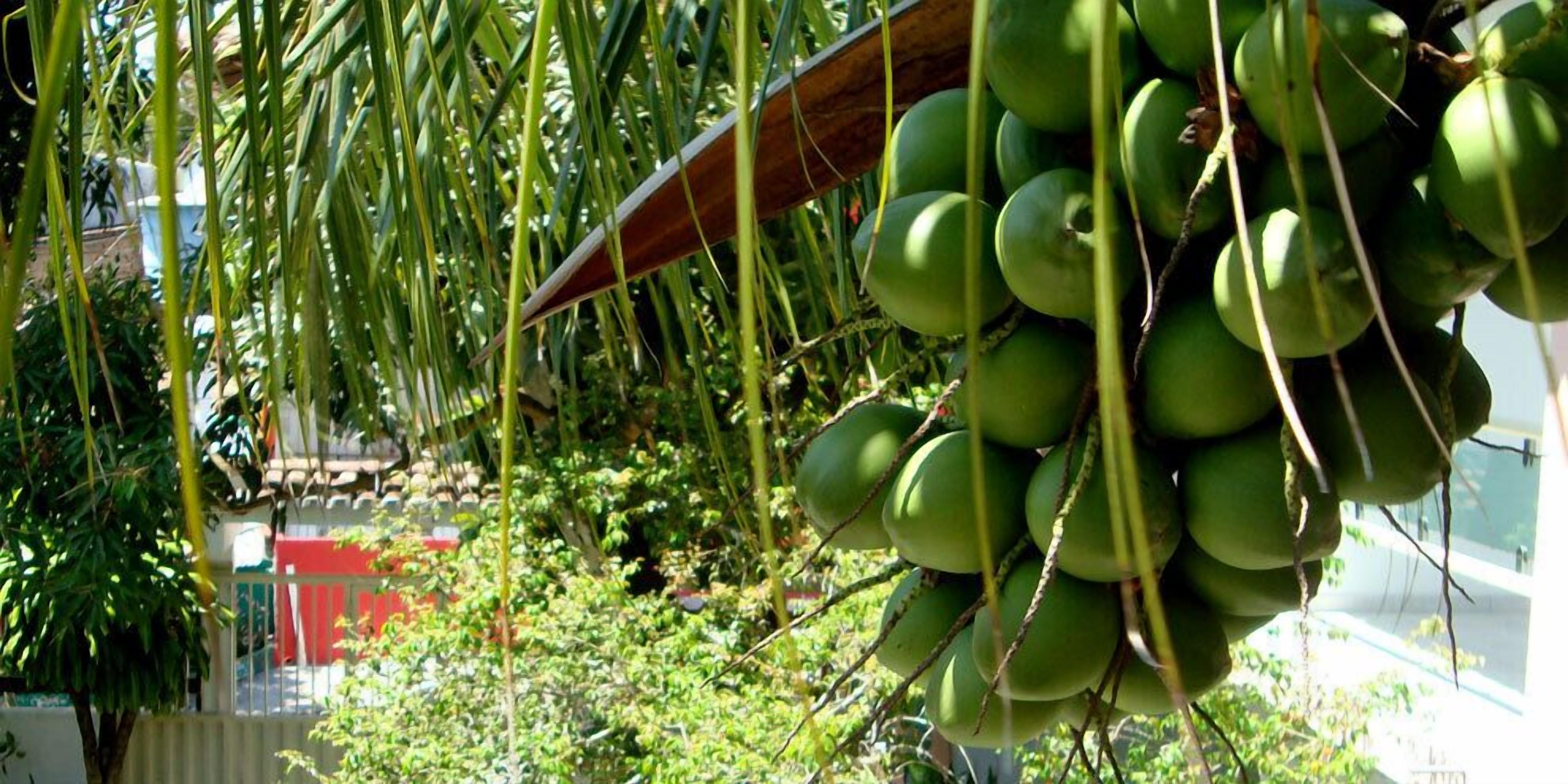 Photo - Pousada Manga Rosa- Arraial