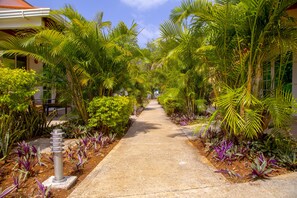 1 habitación y ropa de cama de alta calidad 