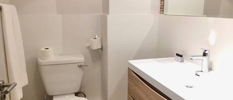 A bathroom with a toilet, a sink, and a mirror.