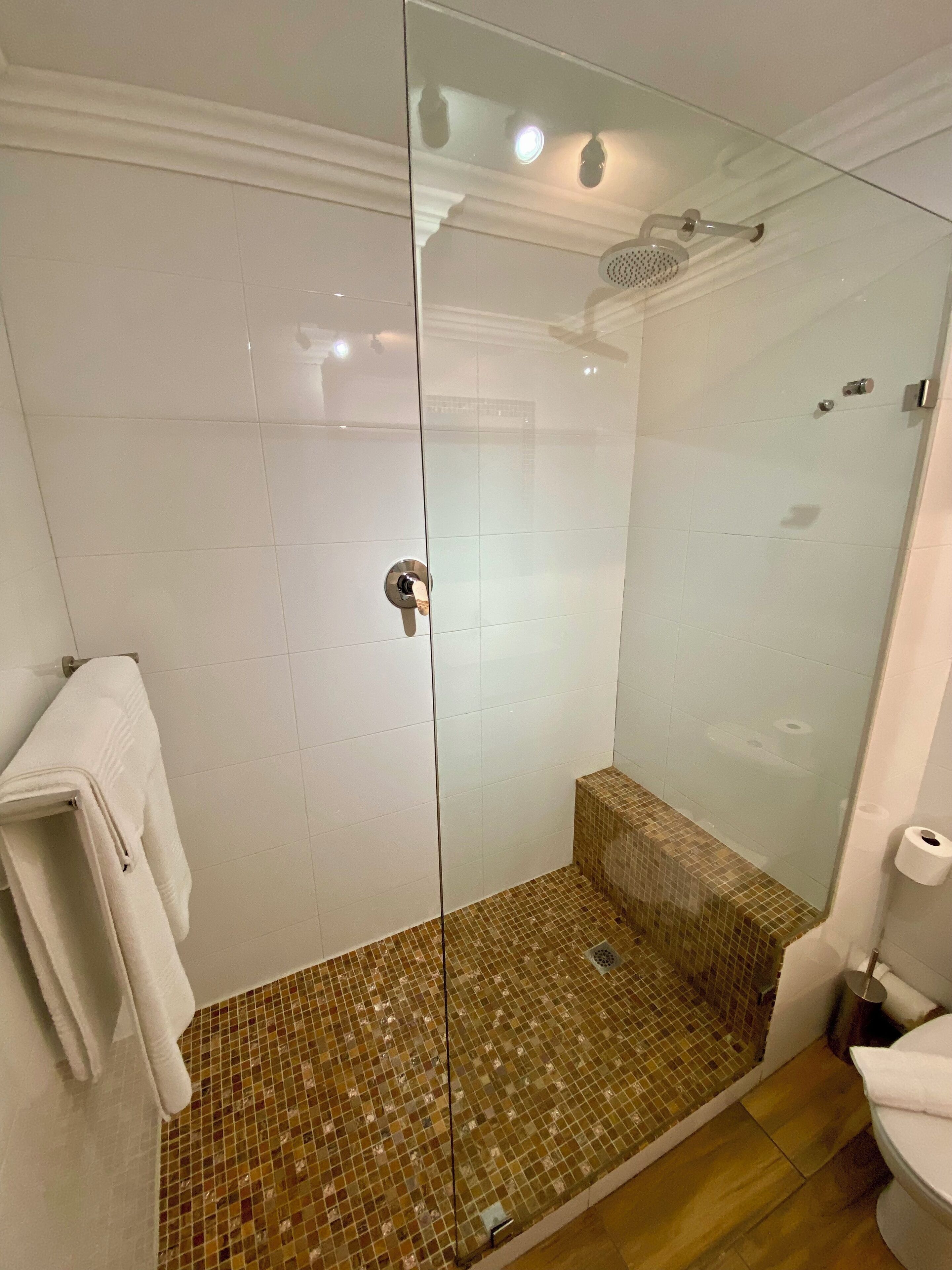 Eine Duschkabine mit Glas, ein gefliester Boden, ein weißes Handtuch auf einem Ablagegestell und eine Toilette mit einem Toilettenpapierrollenhalter.