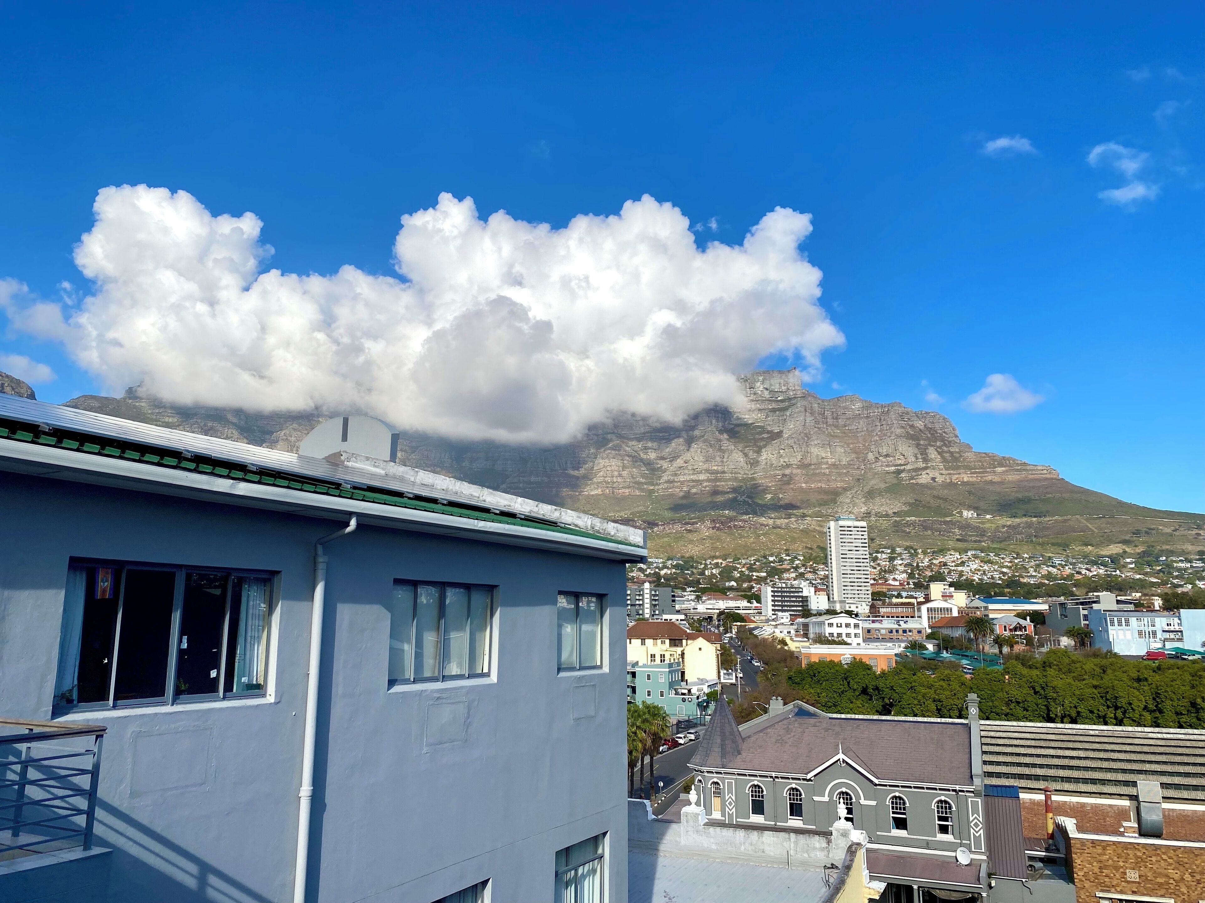 Foto - Urban Oasis at The Square