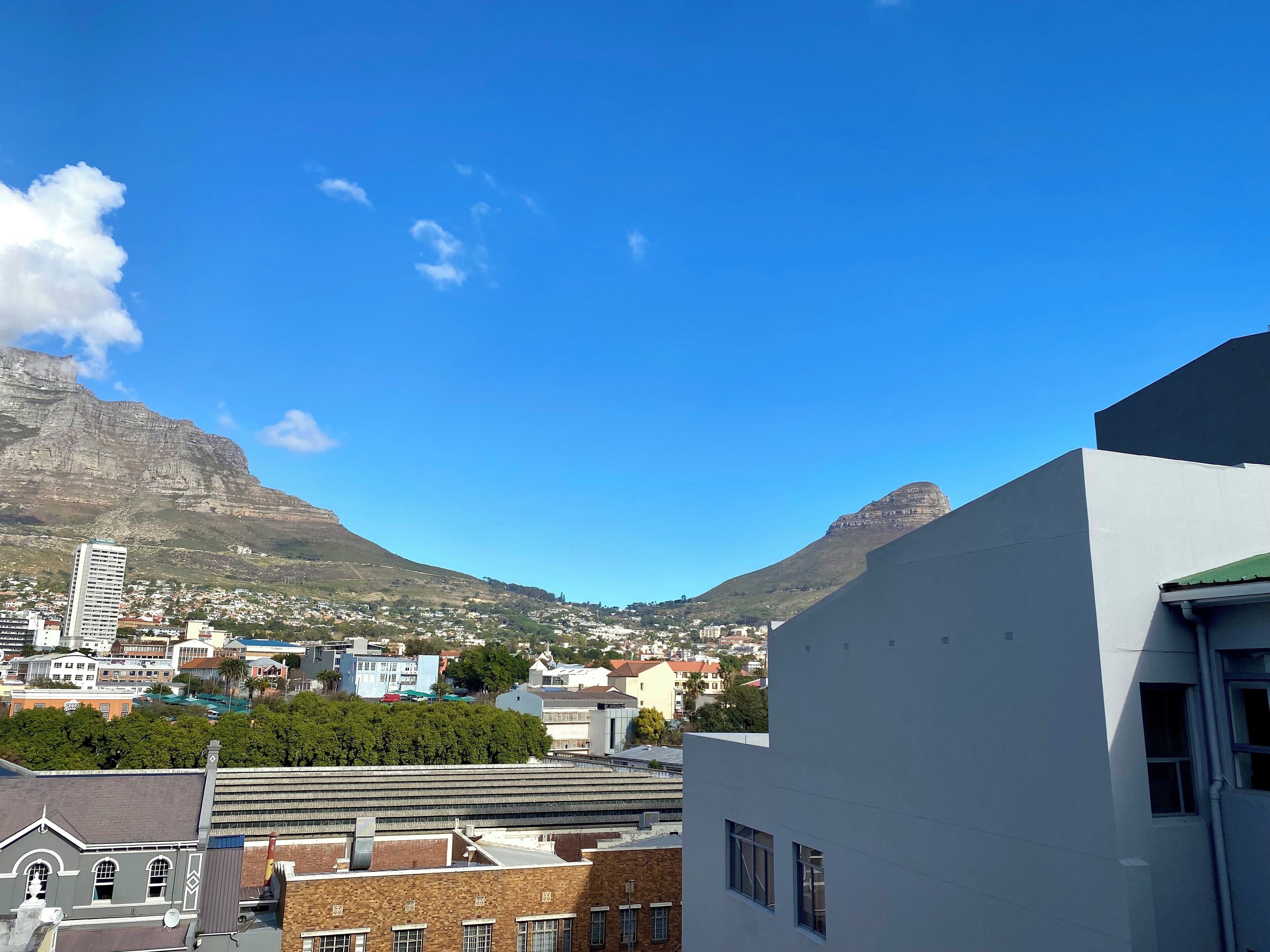 Photo - Urban Oasis at The Square