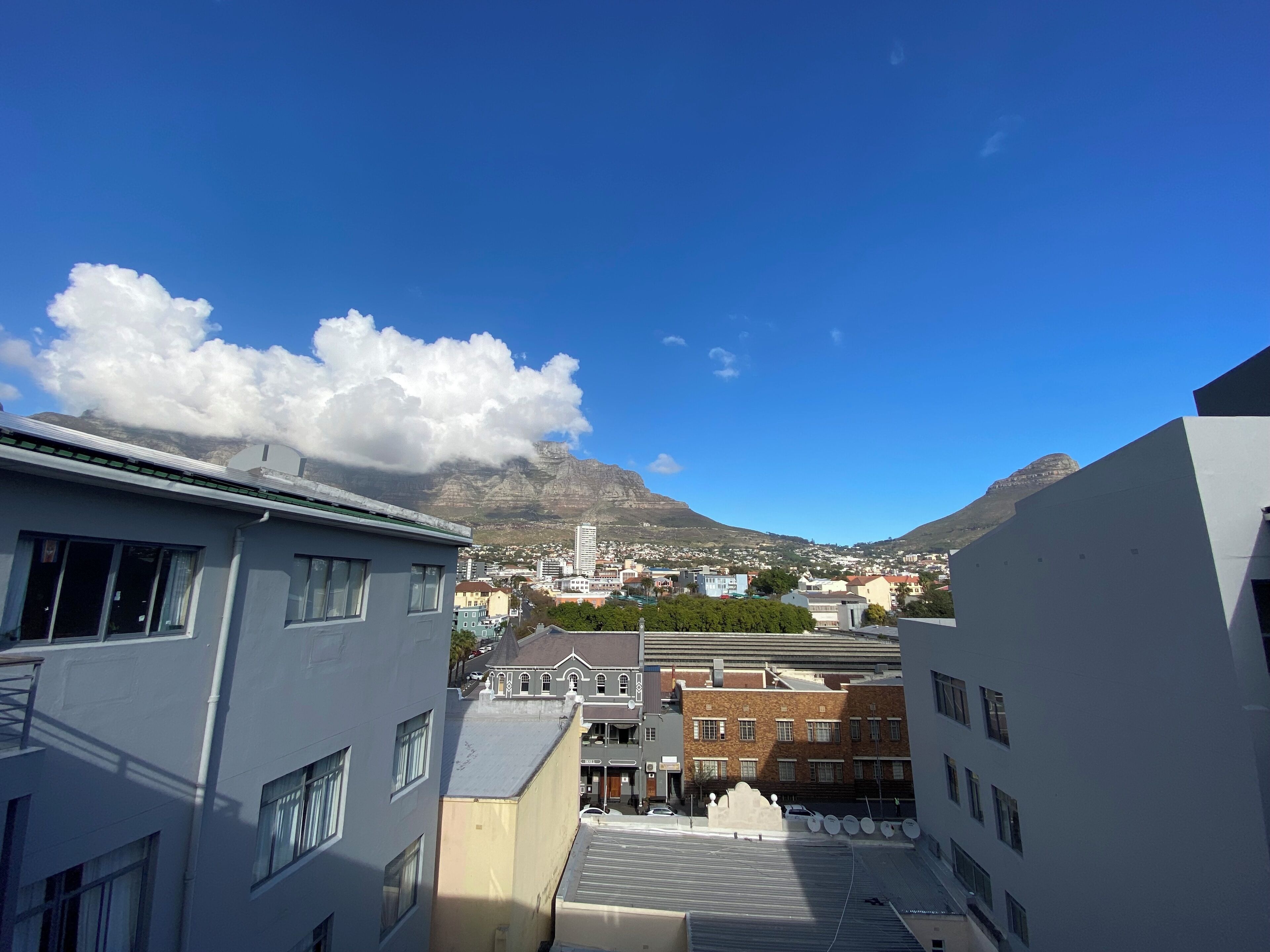 Photo - Urban Oasis at The Square