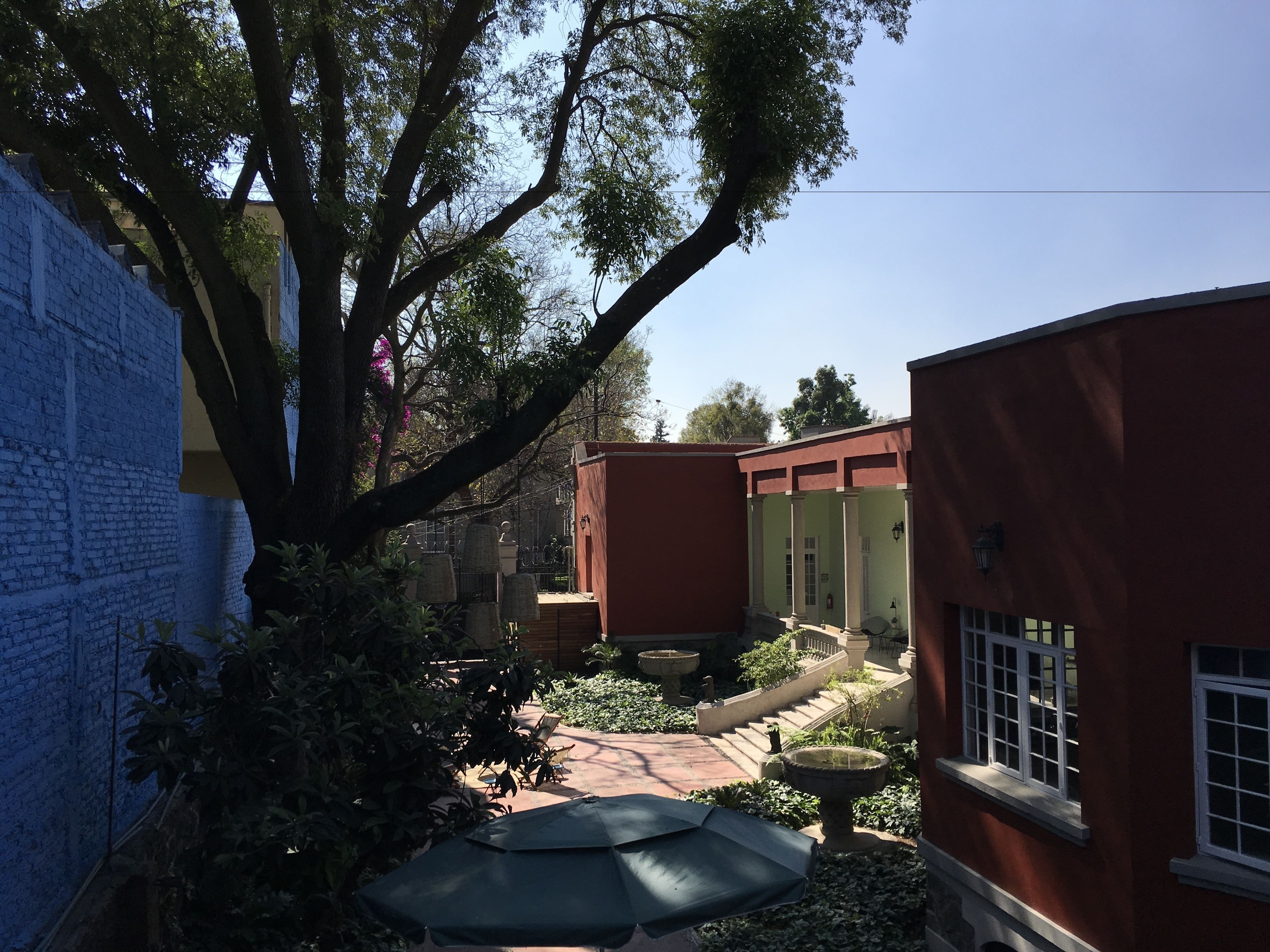 A courtyard with a large tree, a red building, and a blue wall.