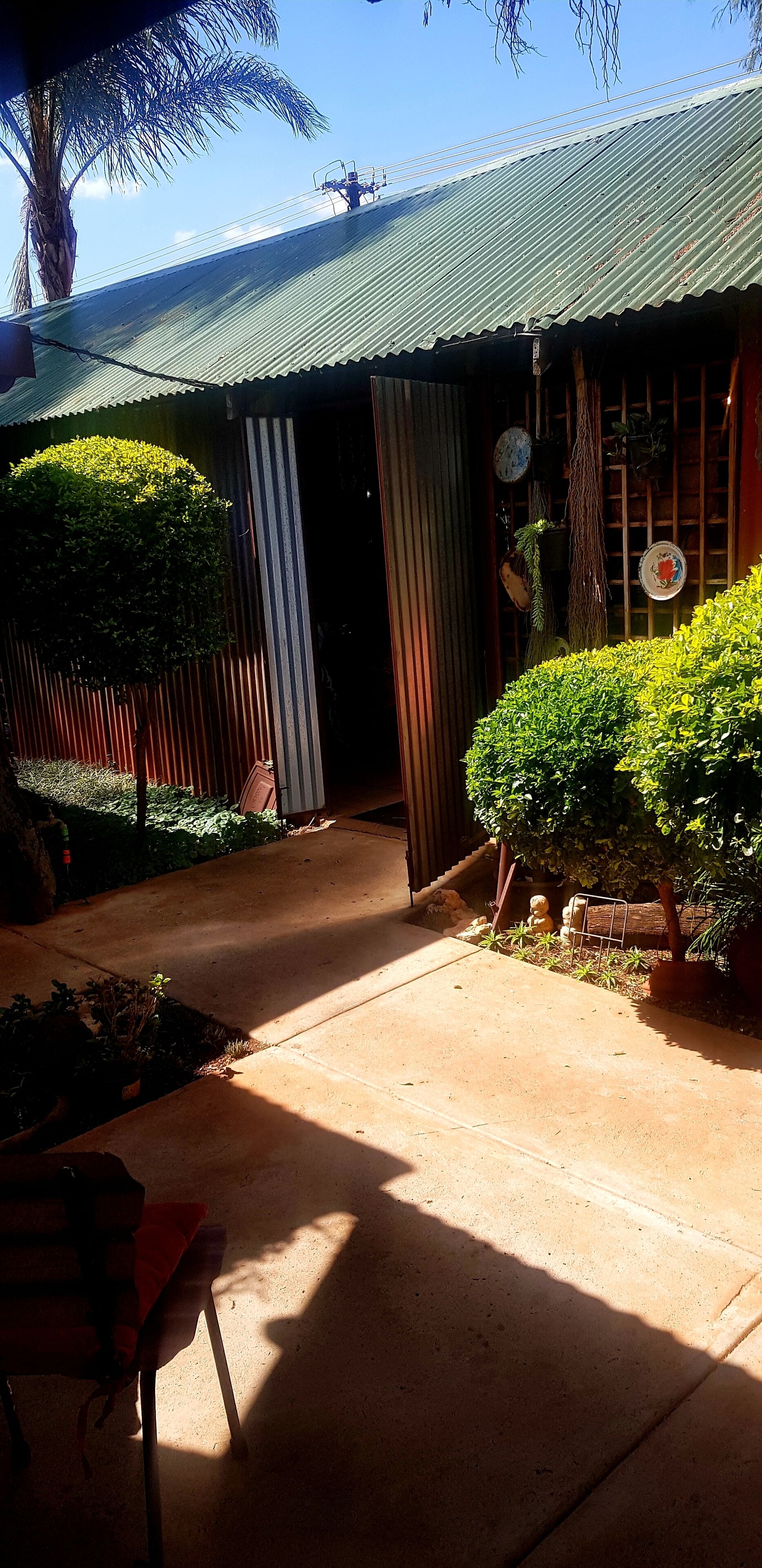 A covered outdoor area with a concrete path leading to a building entrance, surrounded by greenery and a palm tree.