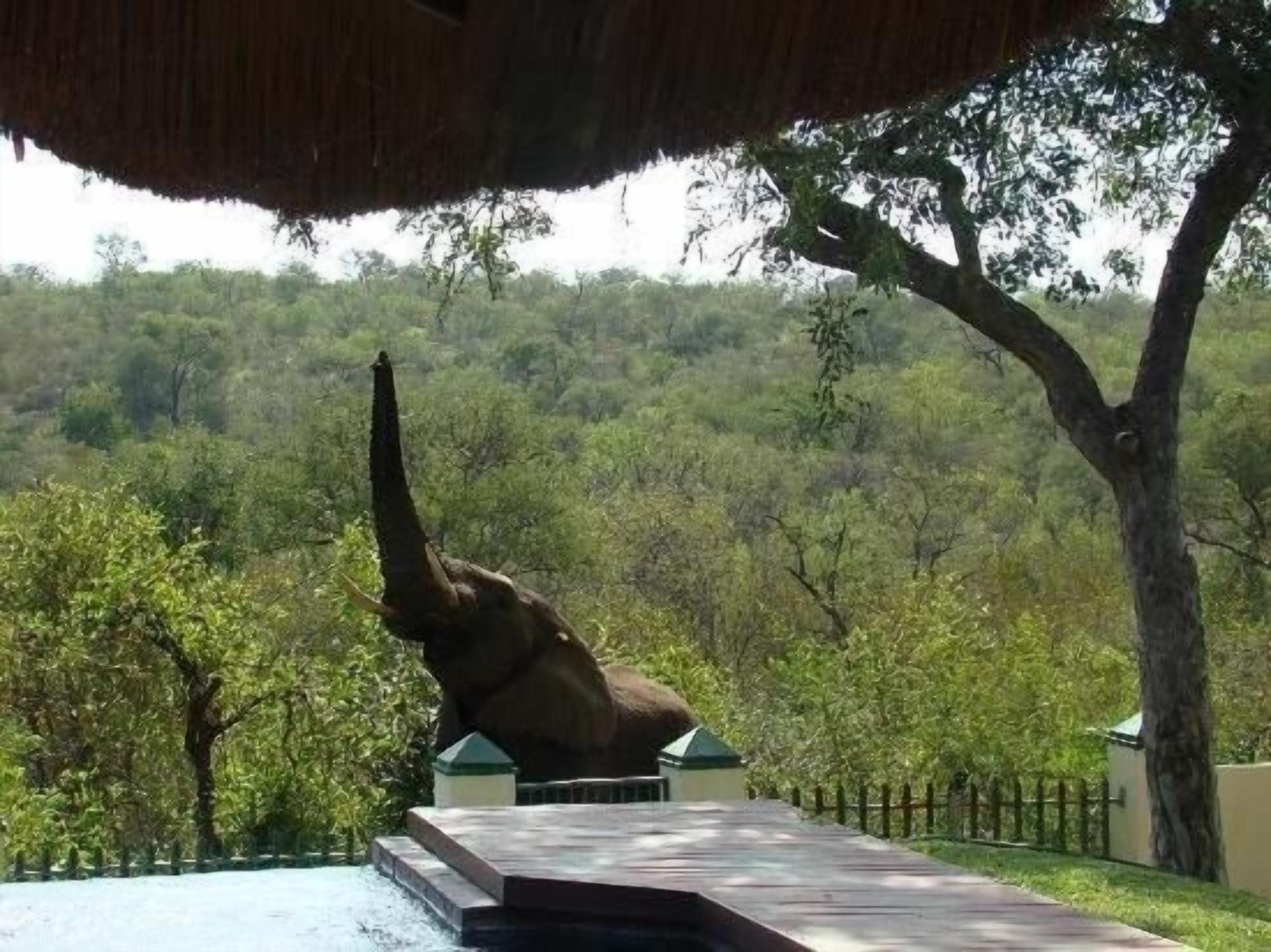A large elephant statue under a thatched roof, surrounded by lush greenery and a paved area.
