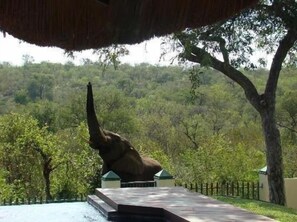 A large elephant statue under a thatched roof, surrounded by lush greenery and a paved area. - Muweti Bush Lodge (Phalaborwa)