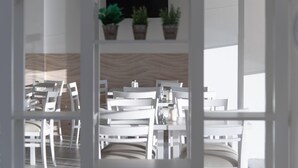 Un comedor moderno con sillas y mesas blancas, un televisor montado en la pared y plantas en macetas sobre una estantería.