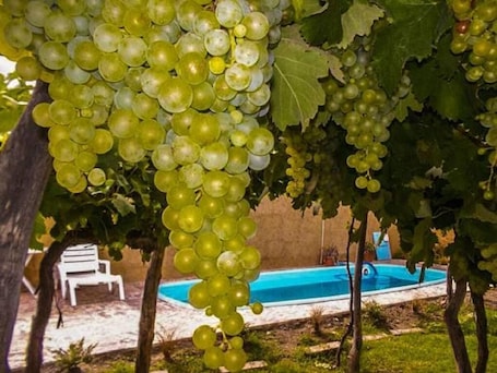 Outdoor pool. Hostal Tierra de Vinos