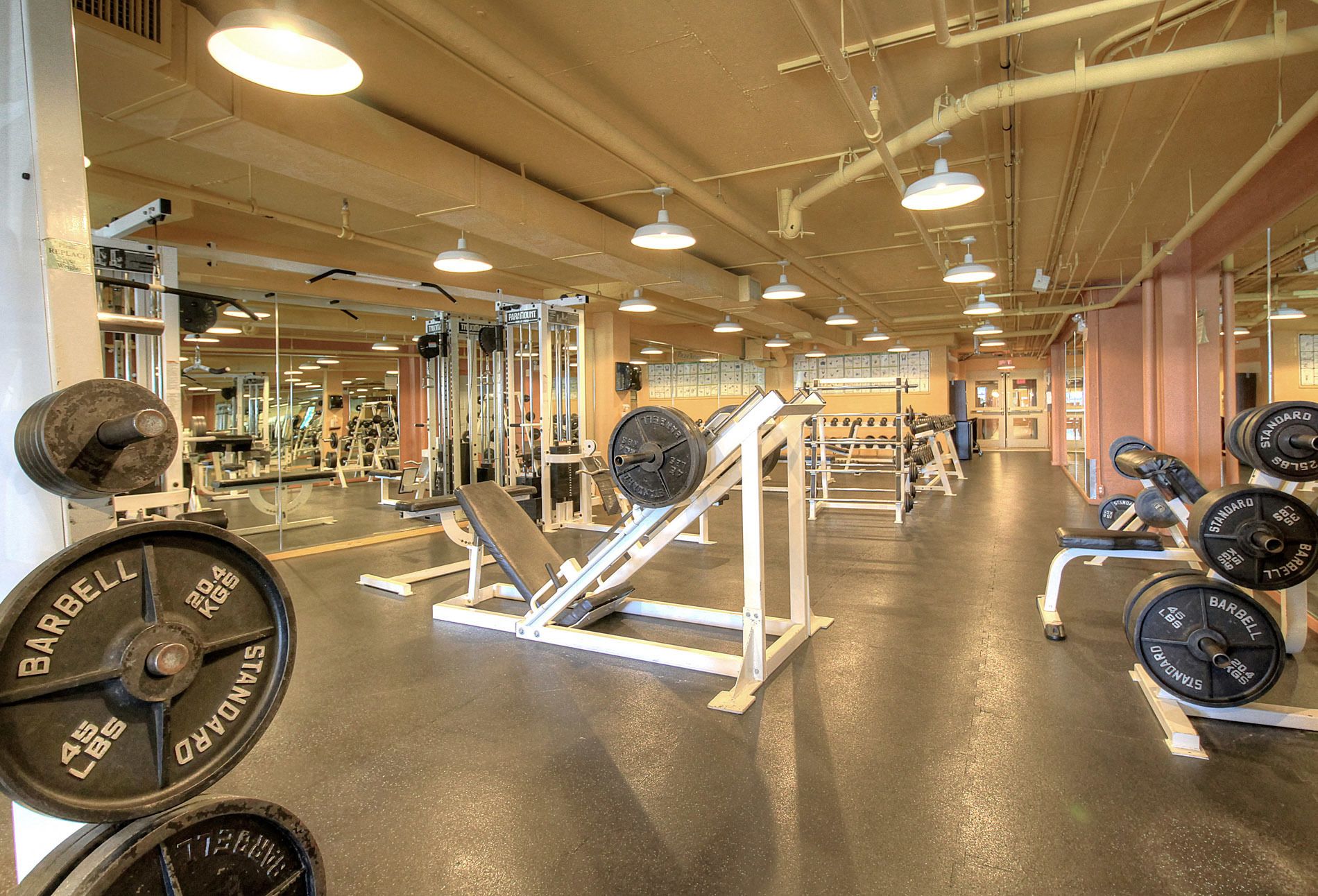 Gym