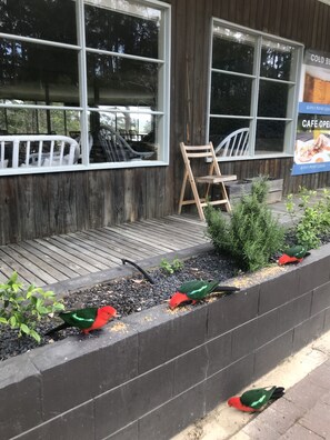 Queen & Single Room with Garden View & Balcony | In-room dining - Gipsy Point Lodge (Gipsy Point)