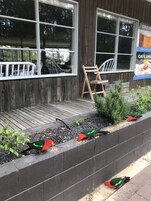 Queen & Single Room with Garden View & Balcony | In-room dining