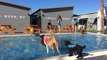 Outdoor pool, sun loungers