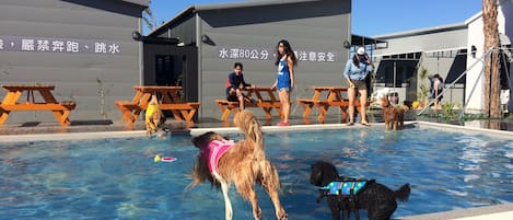 Outdoor pool, pool loungers