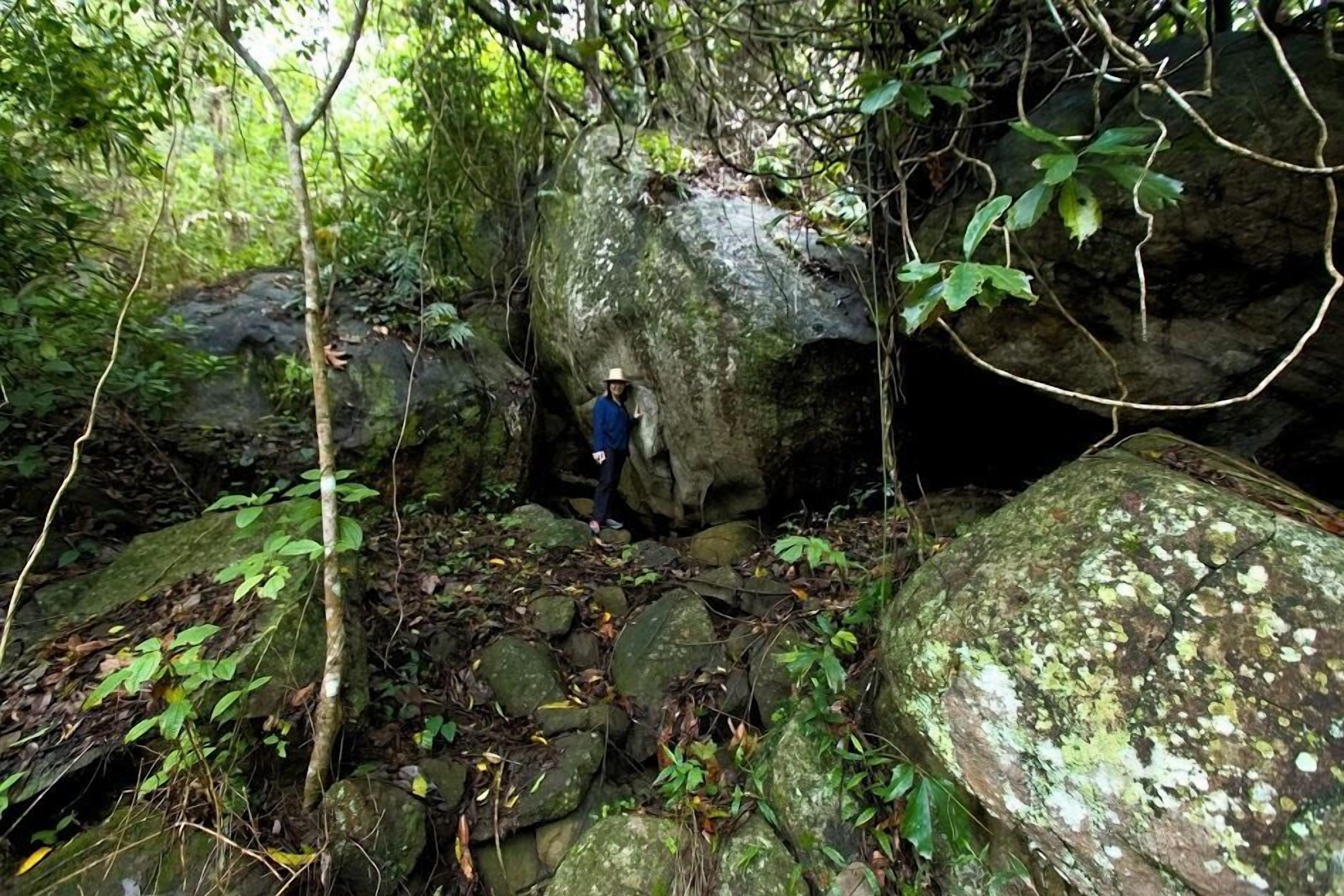 Eine Person steht in einem bewaldeten Gebiet mit großen Felsen und dichtem Grün.