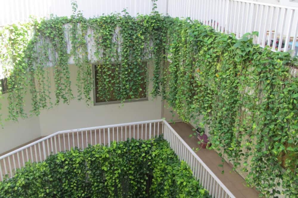 Legreen Suite Penjernihan