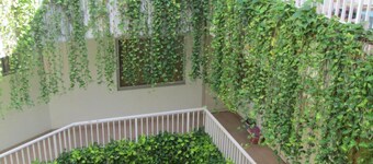 Legreen Suite Penjernihan