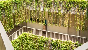 A multi-level building with a white exterior, multiple windows, and a balcony with greenery. - Legreen Suite Penjernihan (Jakarta)