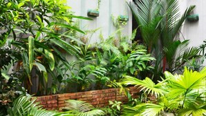 A lush indoor garden with a variety of tropical plants and a brick wall. - Cheng Ho Residence (Malacca City)