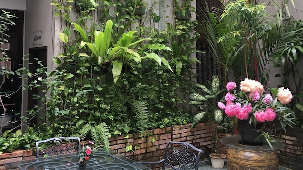 A patio area with a glass table and metal chairs, surrounded by lush greenery and potted plants. - Cheng Ho Residence (Malacca City)