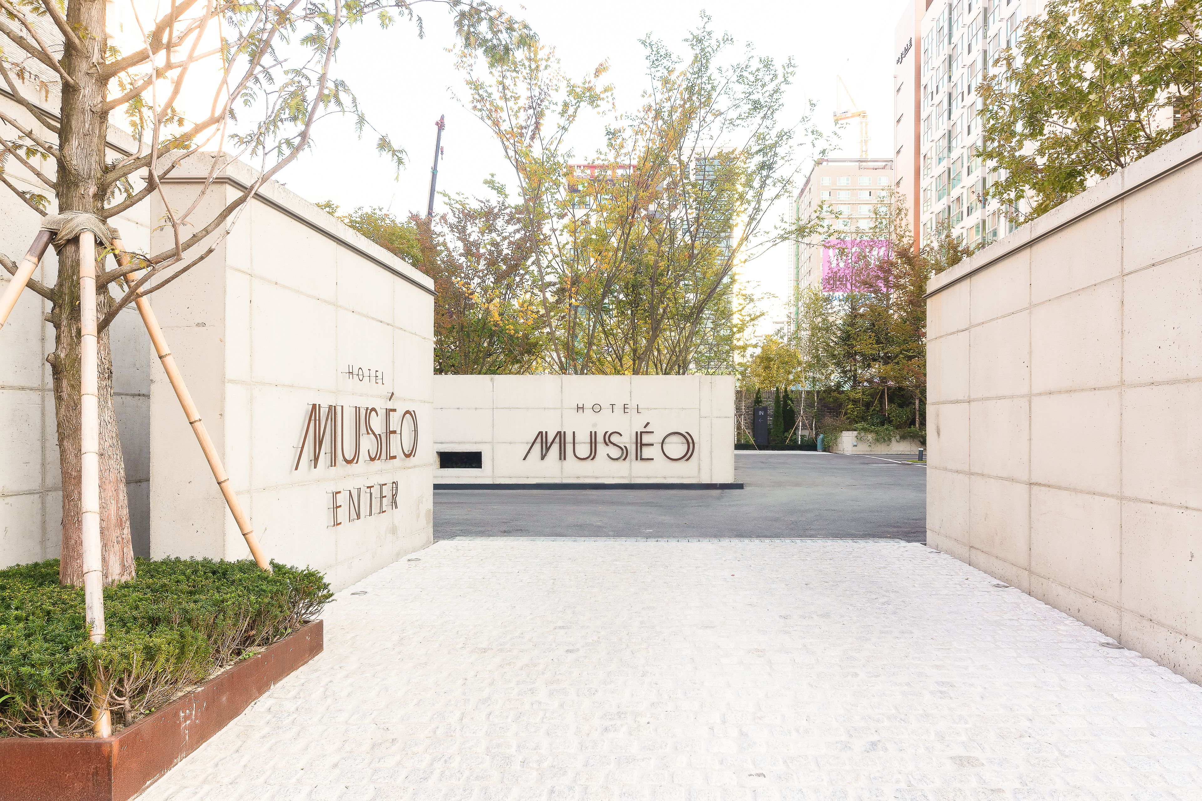 Entrada de un edificio con un letrero que dice "MUSÉO HOTEL" y un árbol en una maceta.