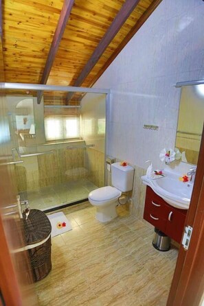 Shower, free toiletries, towels - Lone Self Catering Apartment (Praslin Island)