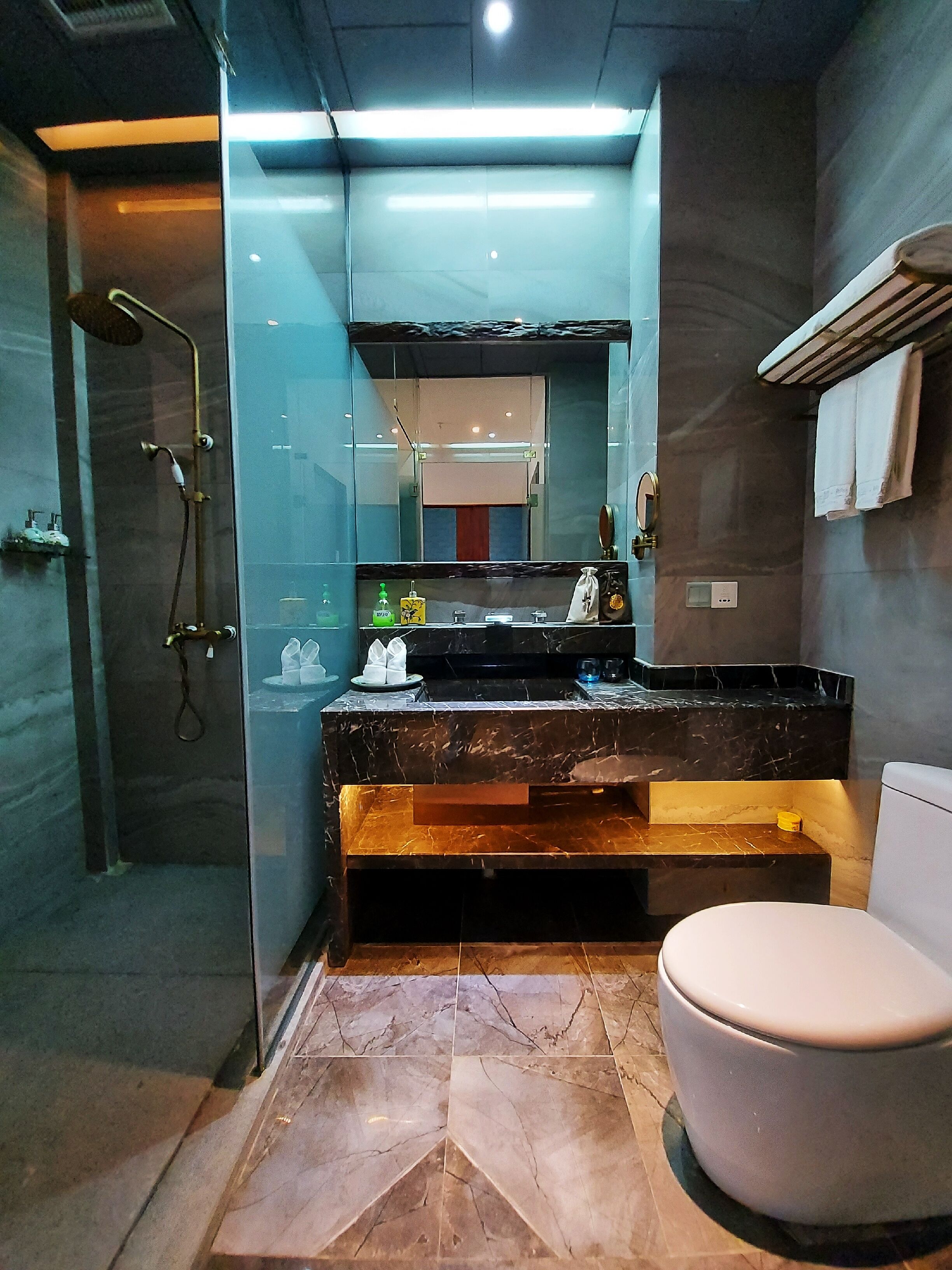 Et moderne badeværelse med en glasafskærmet brusekabine, et marmorbadevægsbord og et toilet.