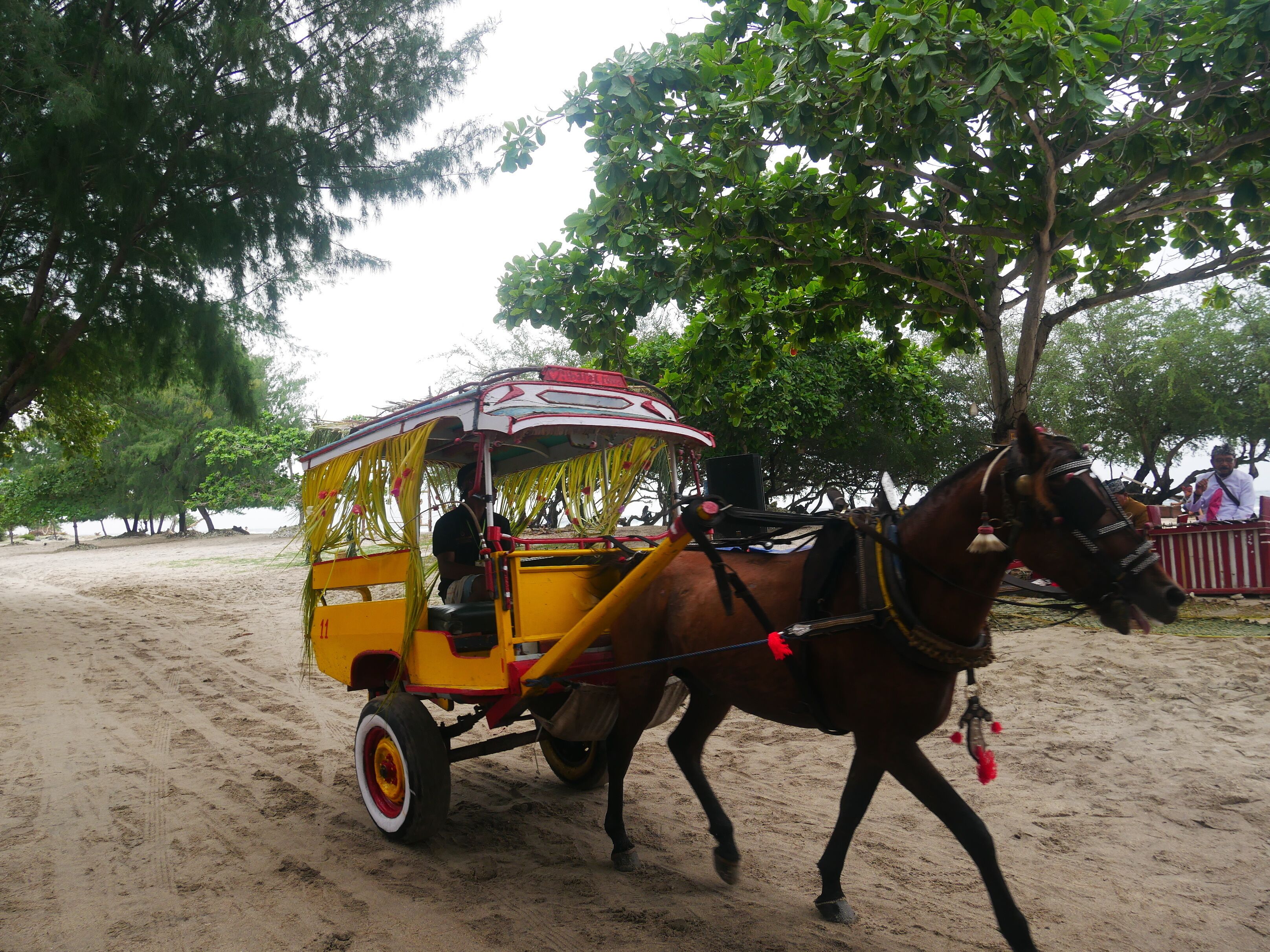 Un carruaje tirado por caballos con toldo amarillo y detalles rojos, jalado por un caballo marrón con borla roja, sobre un camino de arena.