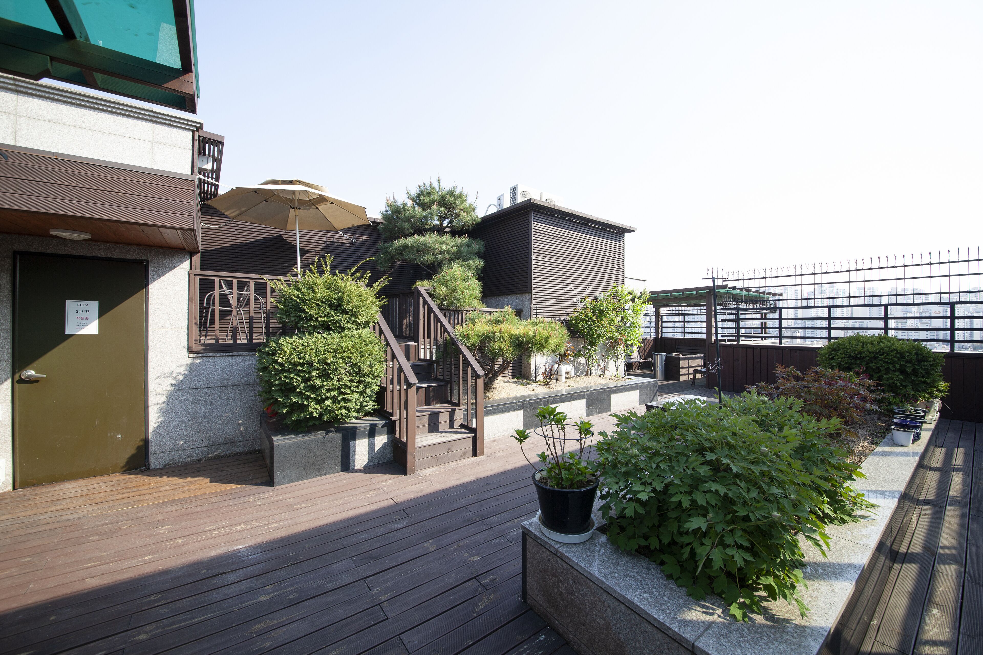 A rooftop garden with wooden decking, potted plants, and a staircase leading to a building entrance.