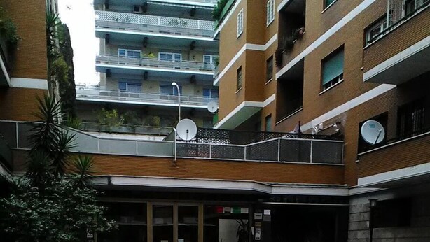 Une cour dallée de pierres, un petit arbre et l’entrée d’un bâtiment avec des portes vitrées.