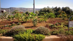 Garden - Zaiera Resort Club (Solarino)