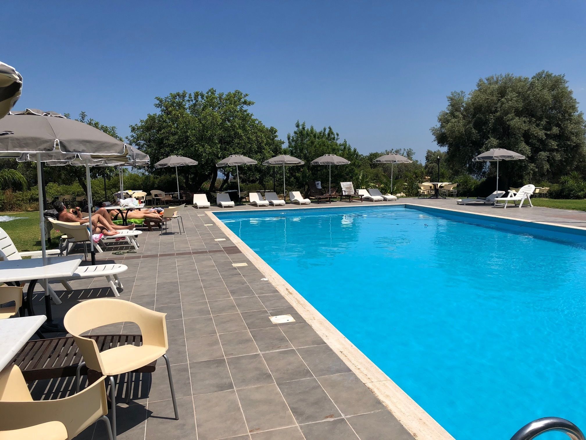 Ein Pool mit Liegestühlen und Sonnenschirmen, umgeben von viel Grün.