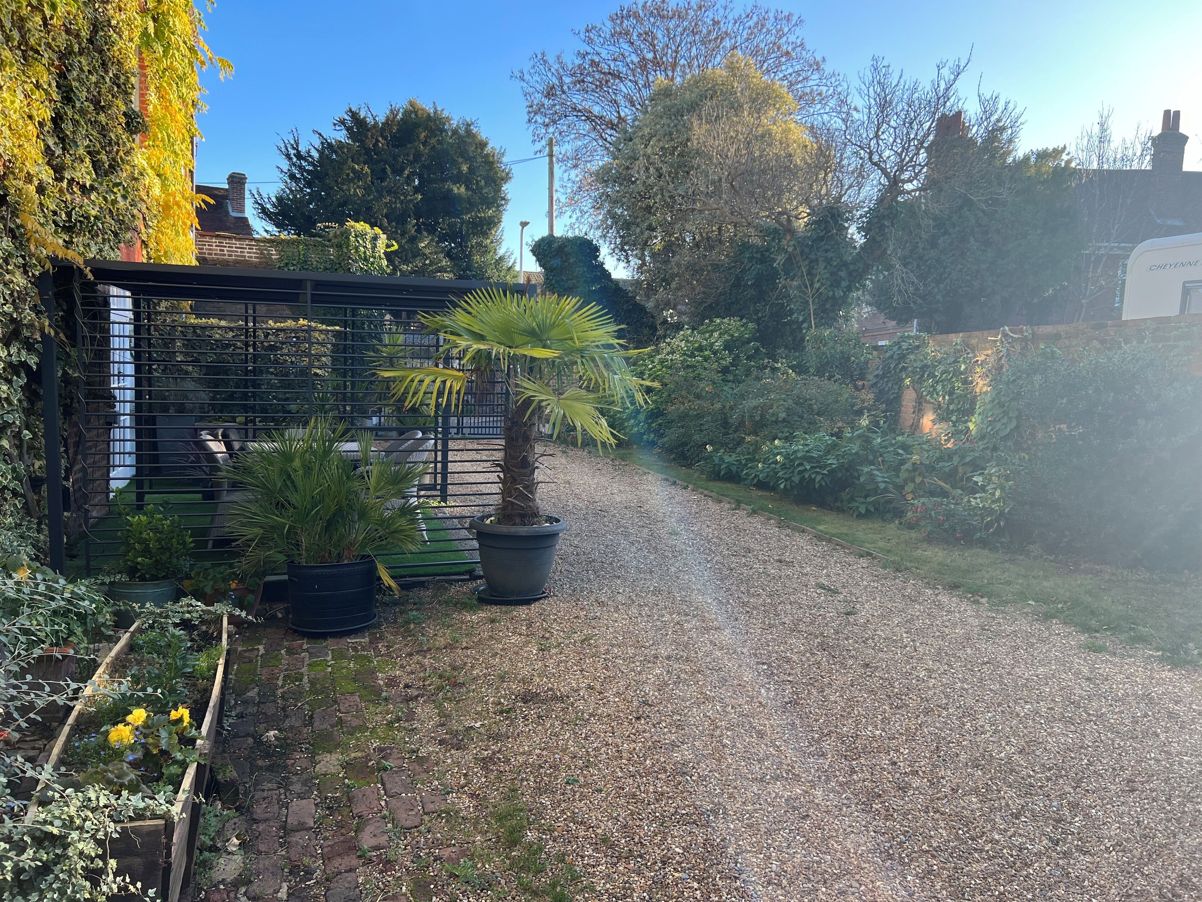 A gravel pathway leading to a house with a brick wall and a metal fence. There are potted plants and a palm tree along the path.