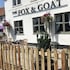 The Fox and Goat