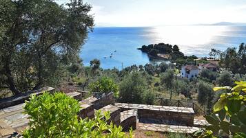 House, 4 Bedrooms | Terrace/patio