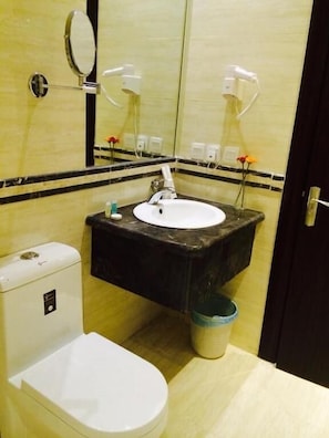 Shower, hydromassage showerhead, designer toiletries, hair dryer