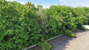 A parking lot adjacent to a dense hedge.