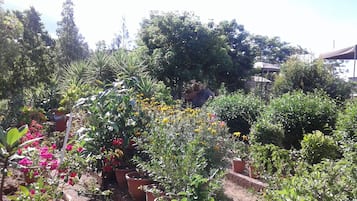 Jardín